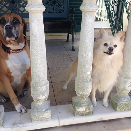 Sun House Iii - Near Sintra - Kitchen - Pool
